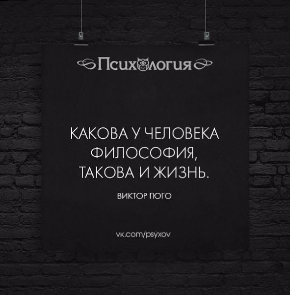 Какова жизненная философия. Философия жизни. Моя философия жизни. Такова жизнь цитаты. Какова у человека философия такова и жизнь.