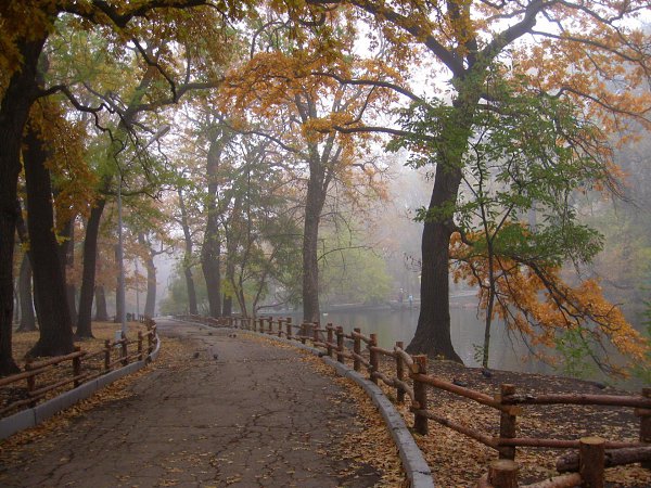 Осенний Саратов Фото