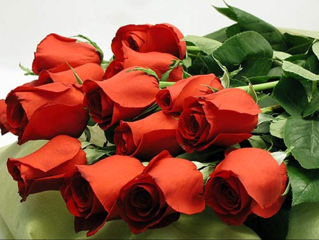 Красные розы букет для подруги
