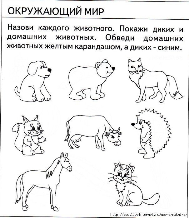 Тесты для детей 4 5 лет в картинках распечатать