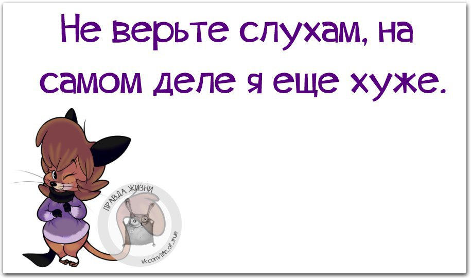 Приколы в картинках про жизнь со смыслом с надписями смешные