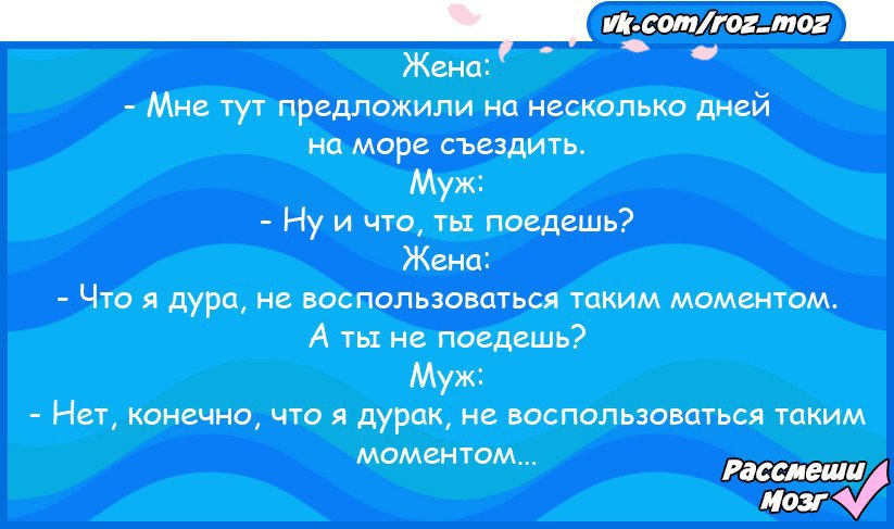 Что поедешь нет. Что поедешь нет