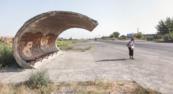 Сотни крыш автобусных остановок города утрехт в нидерландах покрыли растениями для каких целей