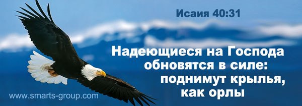 А надеющиеся на господа обновятся в силе поднимут крылья как орлы картинки