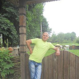 , 51 , 