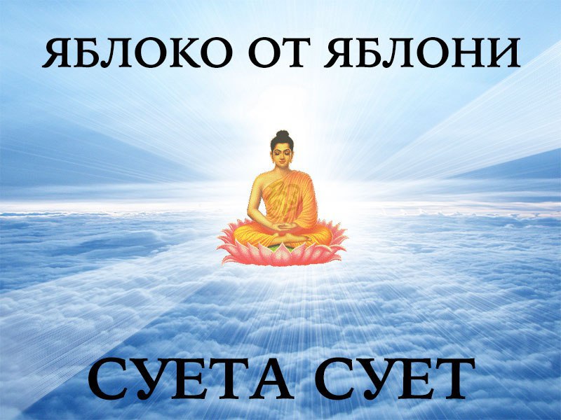 Картинка все суетишься