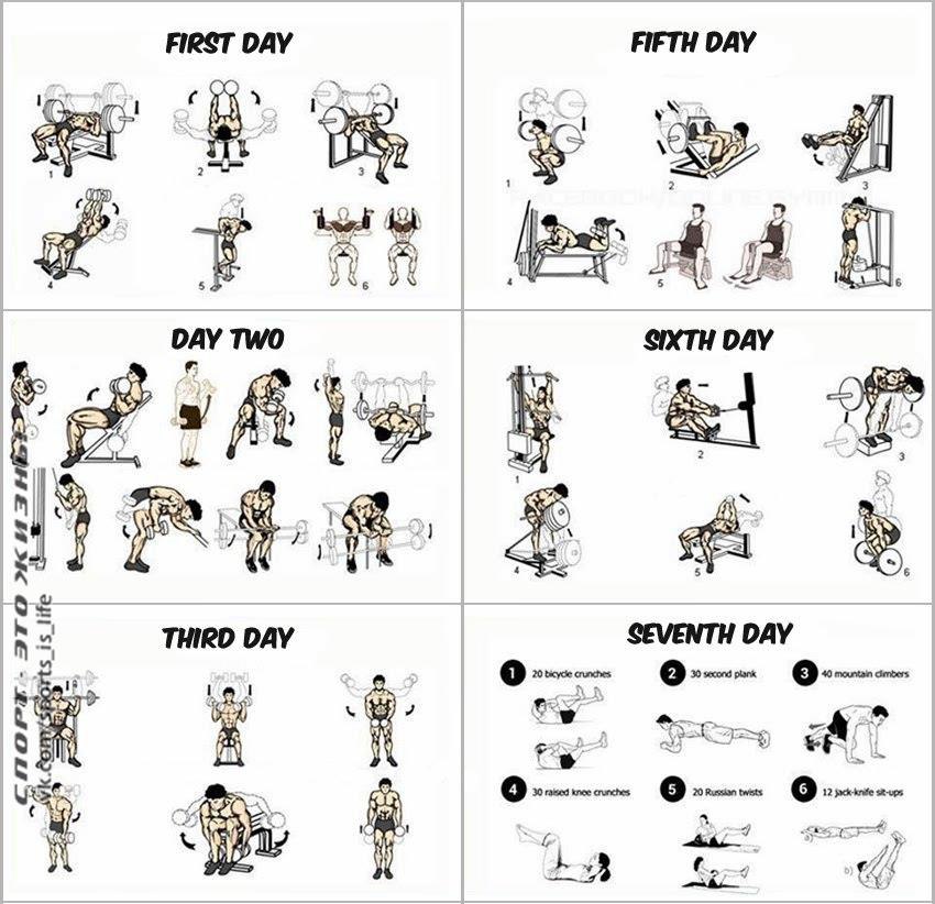 План тренировок в тренажерном зале для мужчин новичков