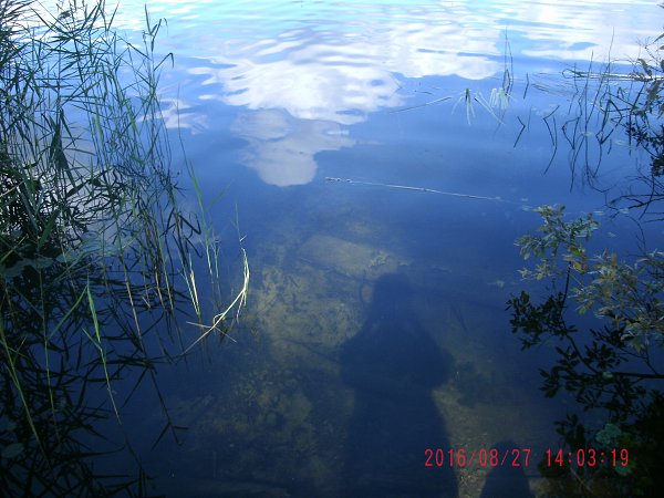 Озеро светлояр фото под водой