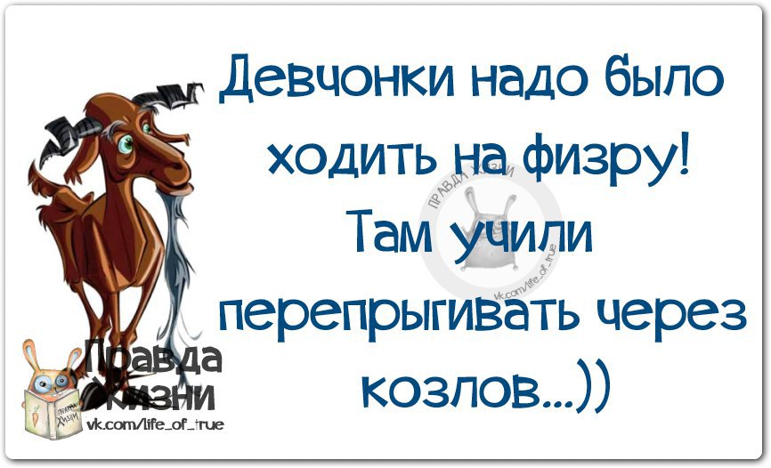 Ходила есть. Афоризмы про мужиков Козлов. Мужчины козлы. Цитаты про мужа козла. Цитаты про Козлов.