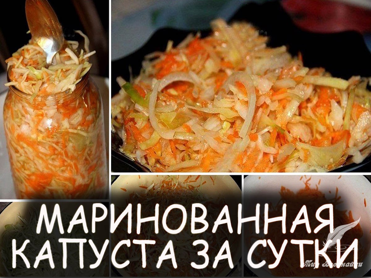 Маринованная капуста за сутки