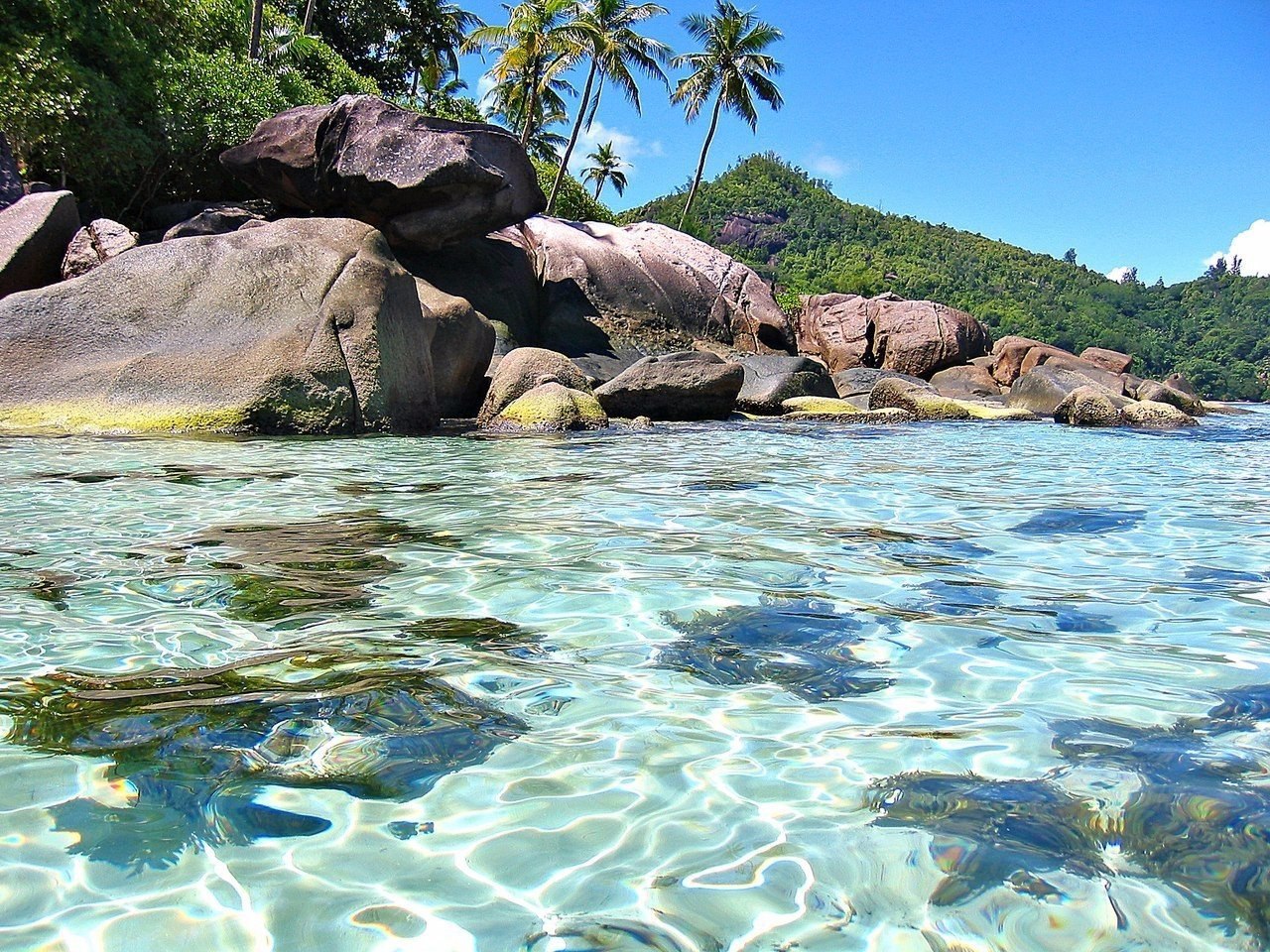 Сейшелы остров Маэ природа