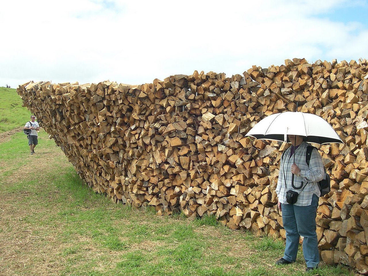 дрова в деревне фото