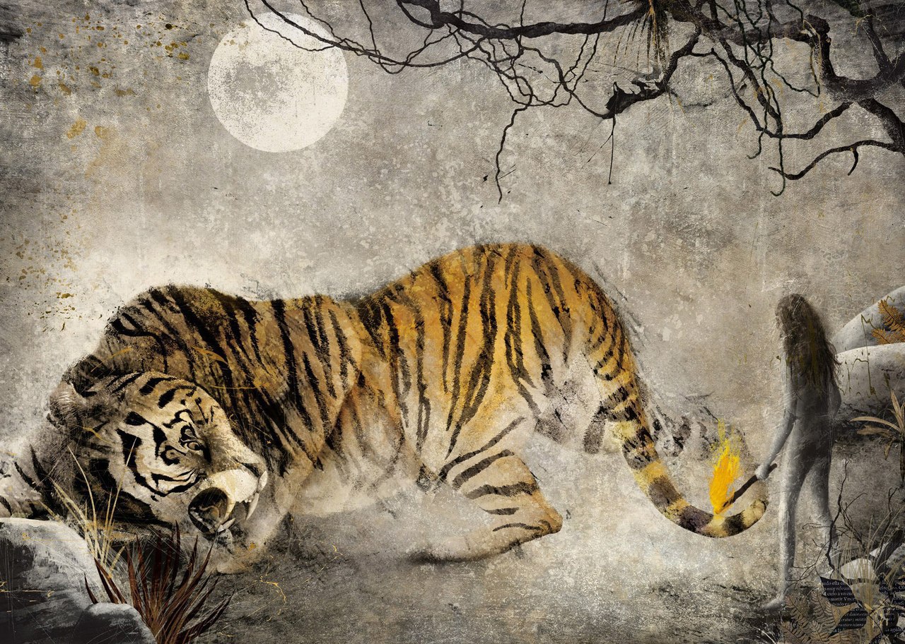 Тигр тигр лес ночной