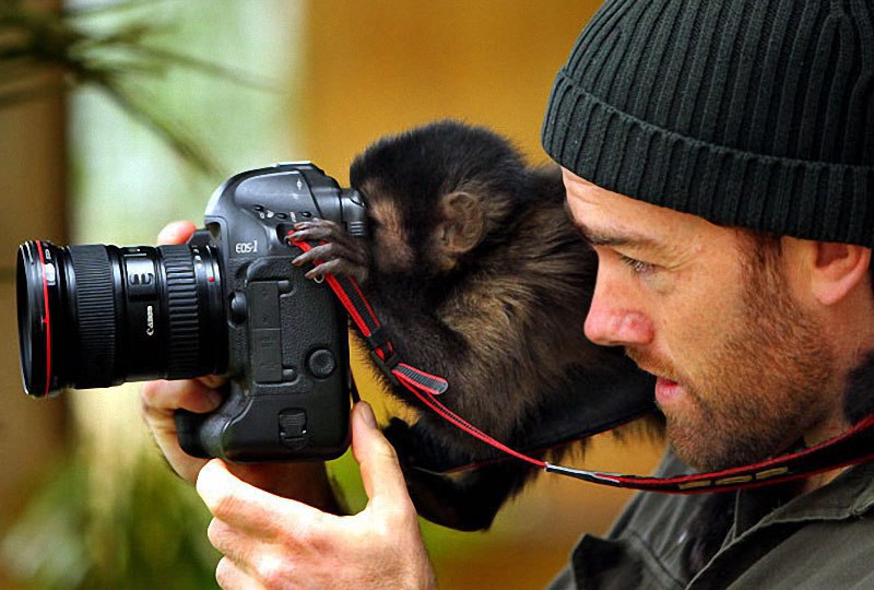 Что делает фотографию хорошей