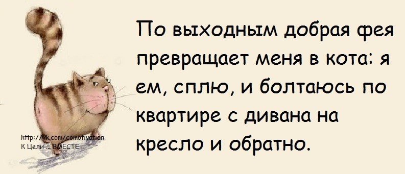 Что делать в выходной день. Смешные фразы про выходные. Фразы про выходные прикольные. Высказывания про выходные прикольные. Цитаты про выходные прикольные.