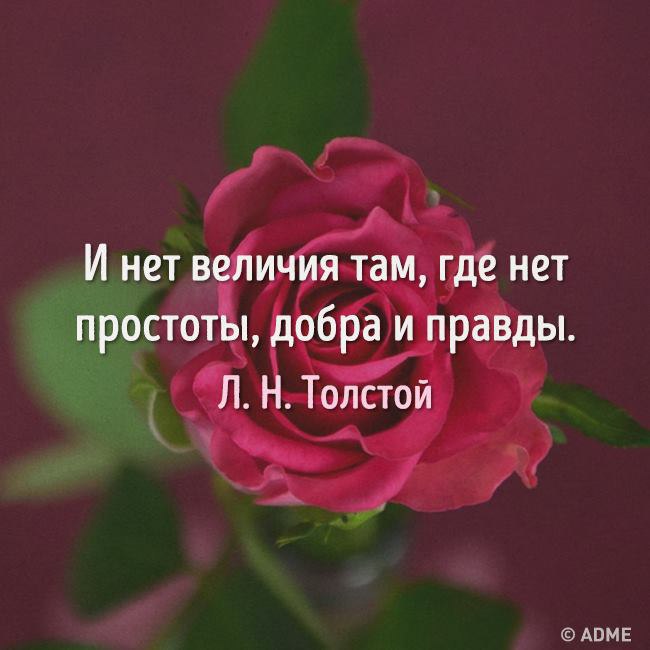 Где просто там. И нет величия там где простоты добра правды. Цитата нет величия там где нет простоты добра и правды. Нет величия там. Нет величия там где нет простоты.