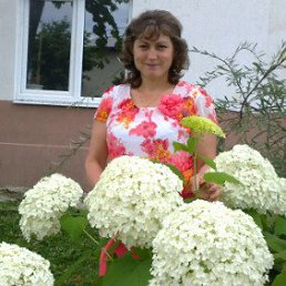ирина, 52 года, Иваново
