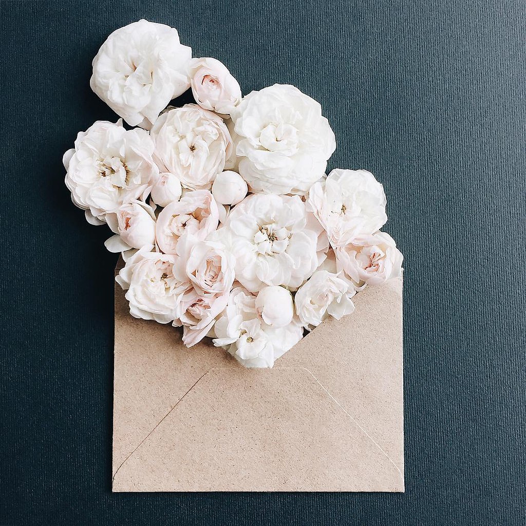 Цветы пионы в конверте