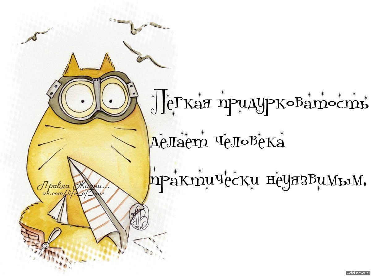 Легкая придурковатость делает человека практически неуязвимым картинка