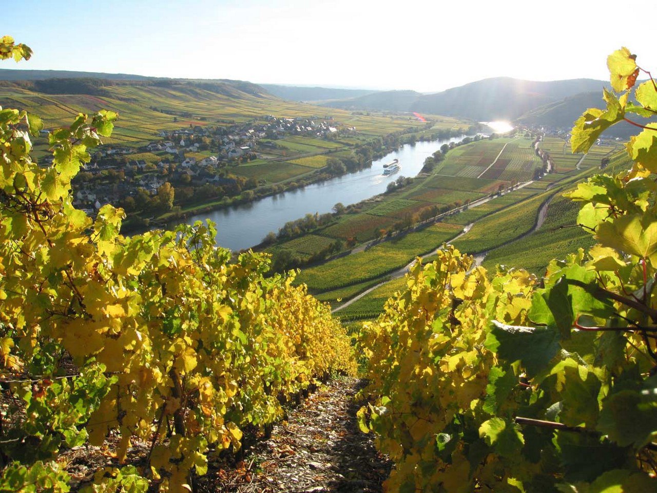 Долина Мозель в Германии виноградники