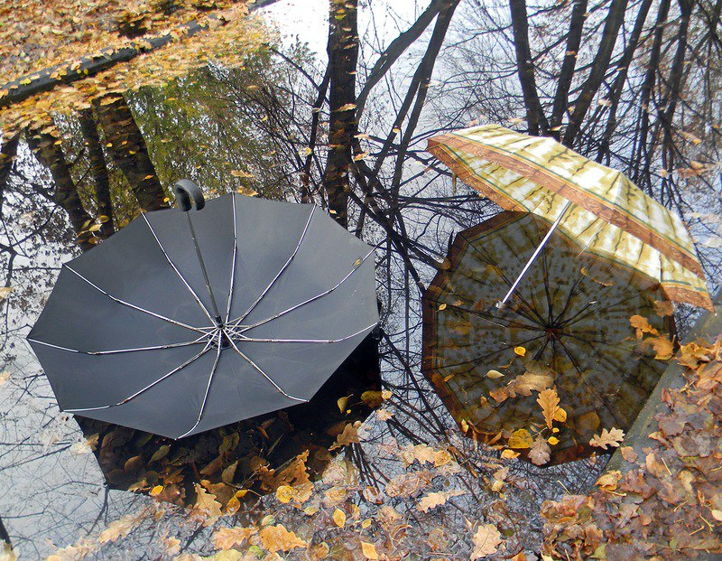 Зонт и листья