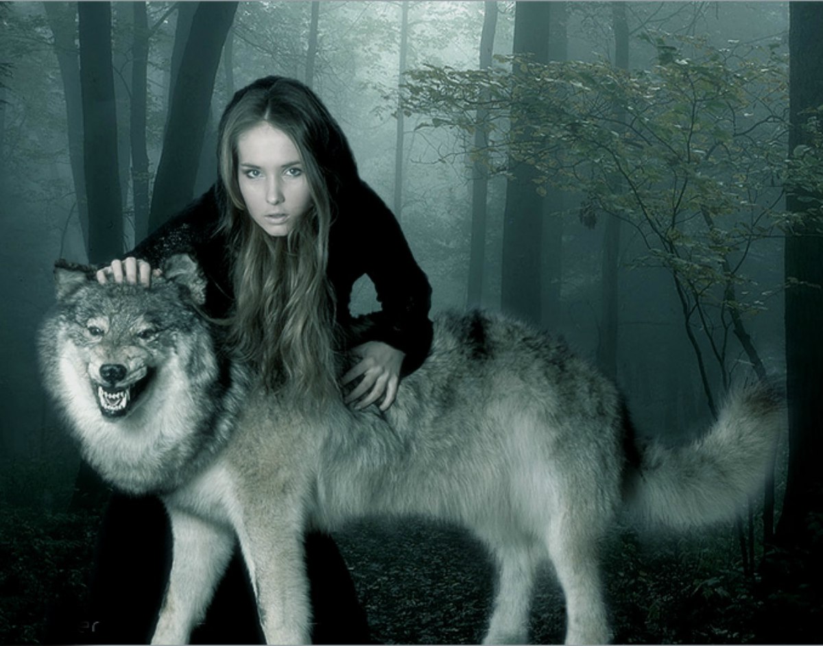 Альфа самка волчица