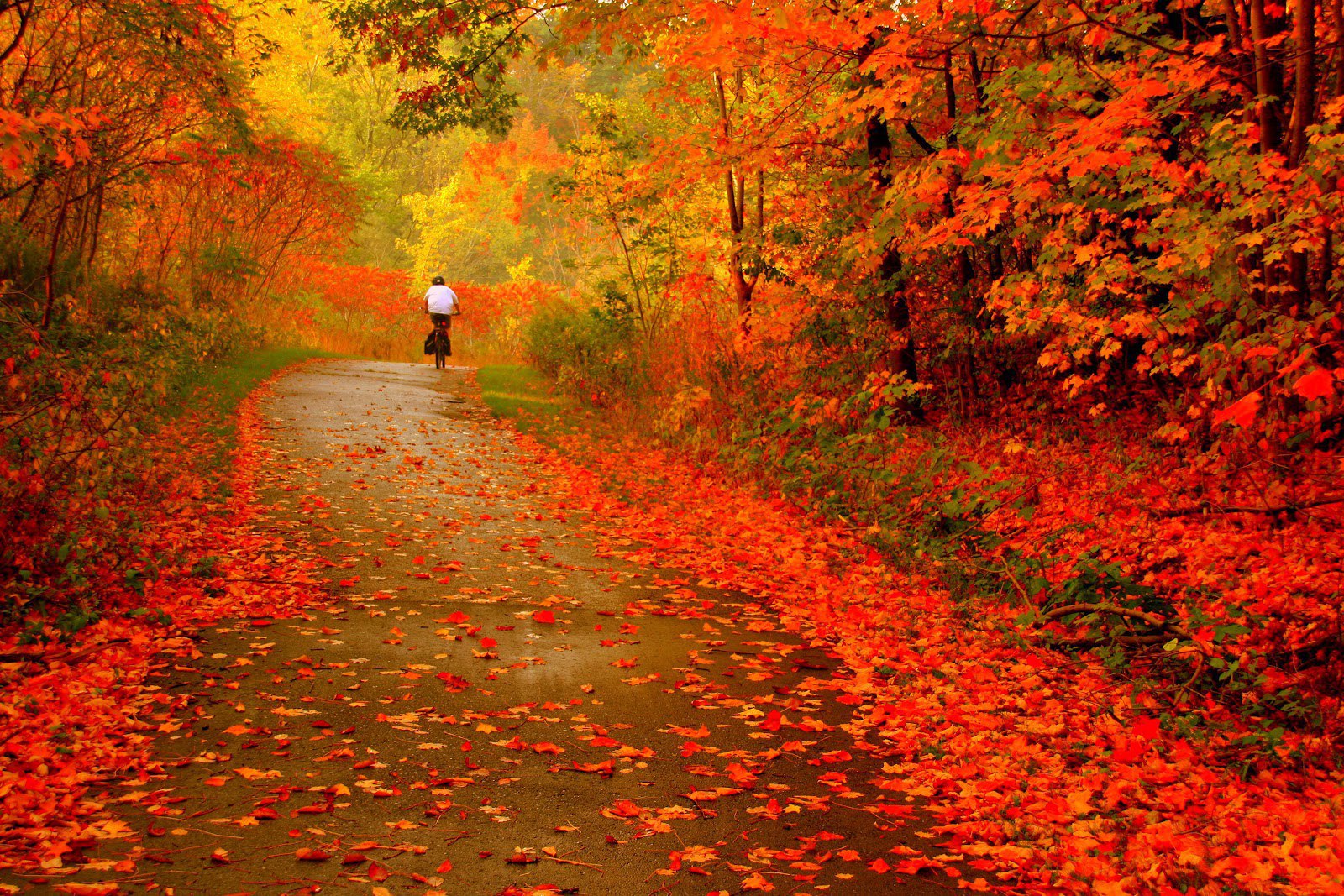 Стихи про осень короткие и красивые