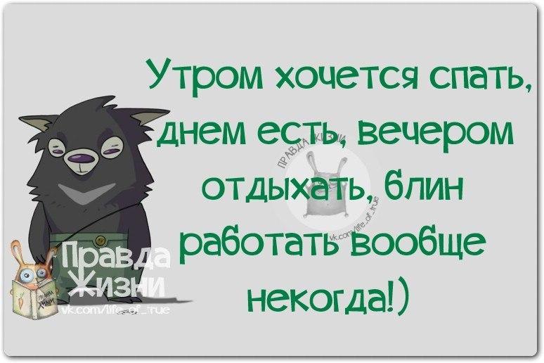 Правда жизни картинки с надписями прикольные смешные