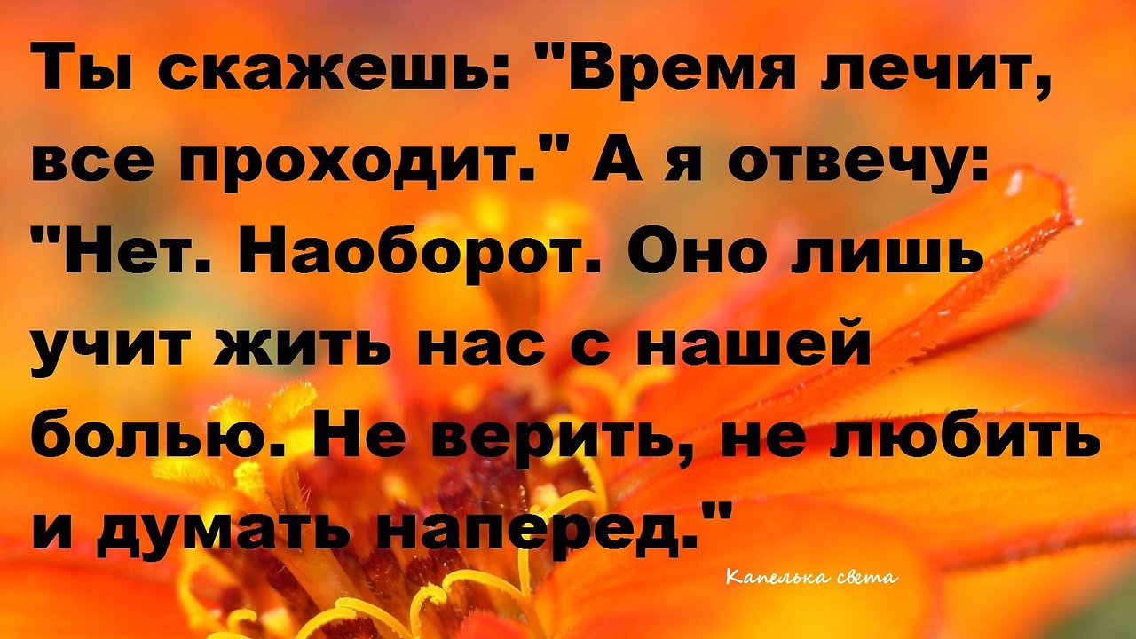 Прошло всего лишь. Время не лечит время. Говорят что время лечит цитаты. Время все лечит статус. Как говорится время лечит.