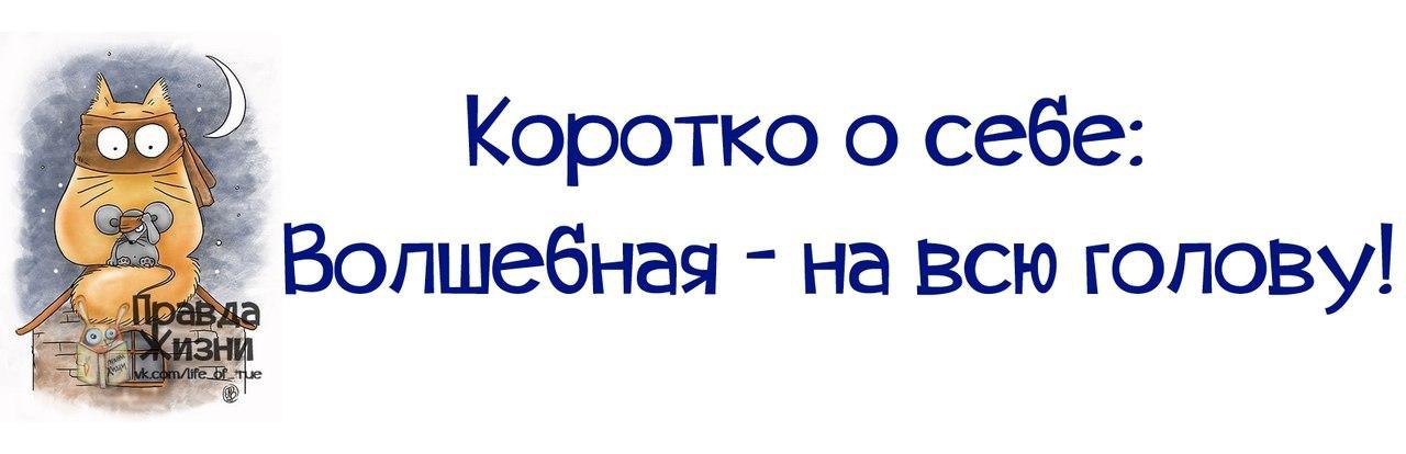 Коротко о себе не рекомендую картинки