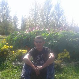 Дима, 43 года, Шипуново