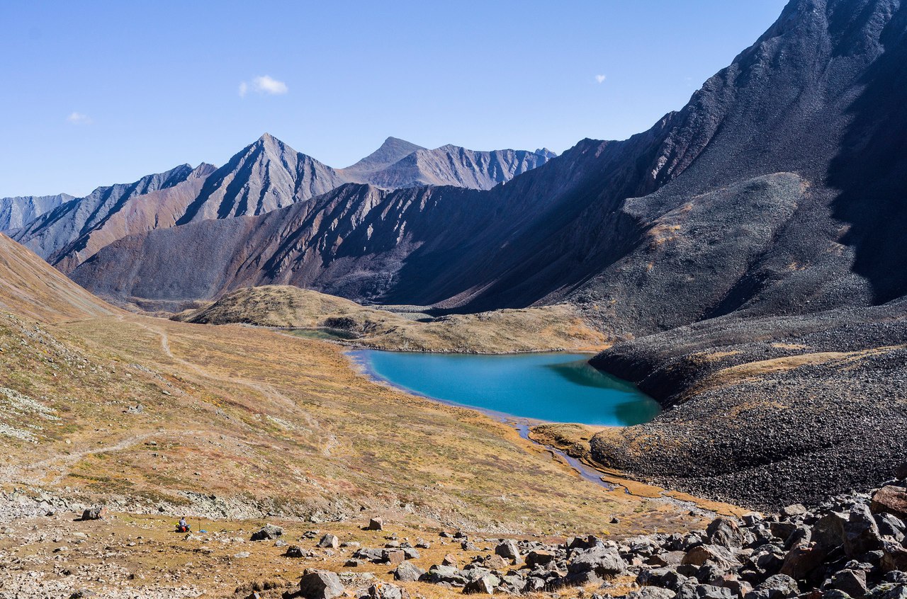 Шумак фото в хорошем качестве