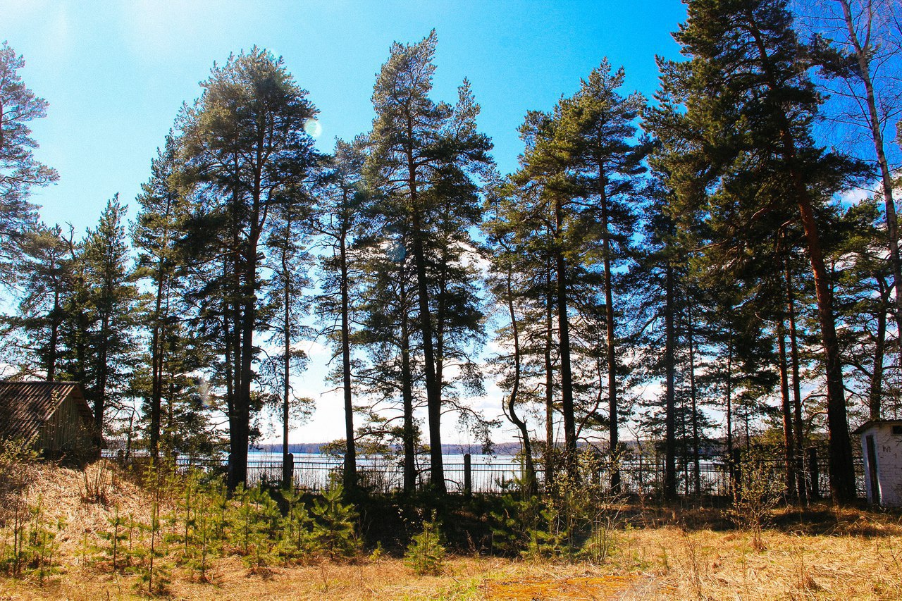 Заходское ленинградская область фото