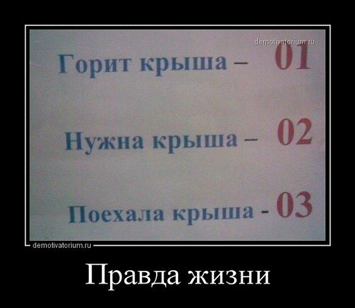 Крыша поехала. Правда жизни демотиватор. Истина демотиватор. Крыша поехала прикол. Демотиваторы про едет крыша.