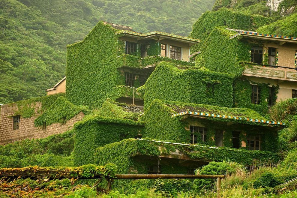 Зеленые дома в китае