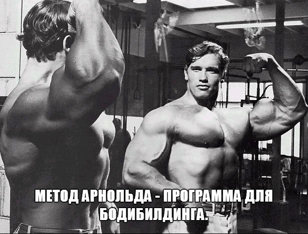 ���������� �����: ����.