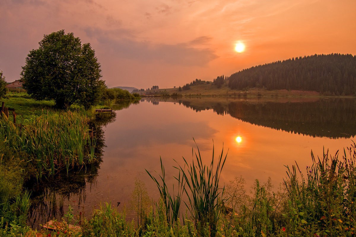 На заре картинки