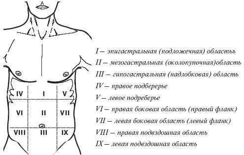 Области живота схема с названиями