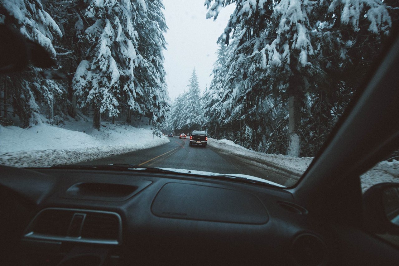Зимний лес вид из машины