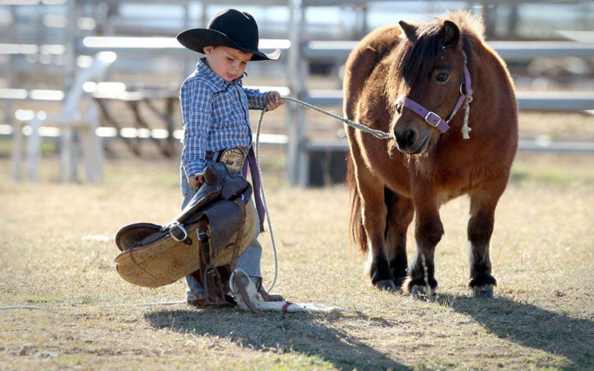 Маленький ковбой с лошадью