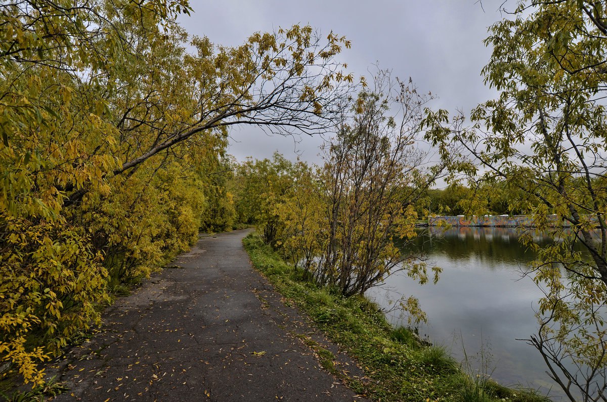 Воркута городской парк карта