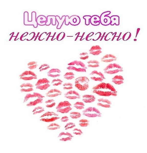 Полюбила, картинки обнимаю тебя крепко и целую нежно