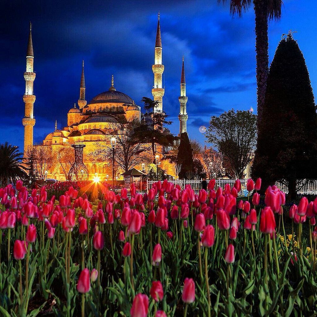 Мечеть Стамбула Весна