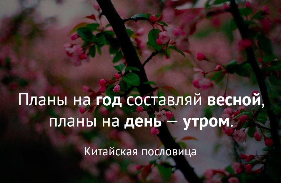 Какие планы на лето можно составить