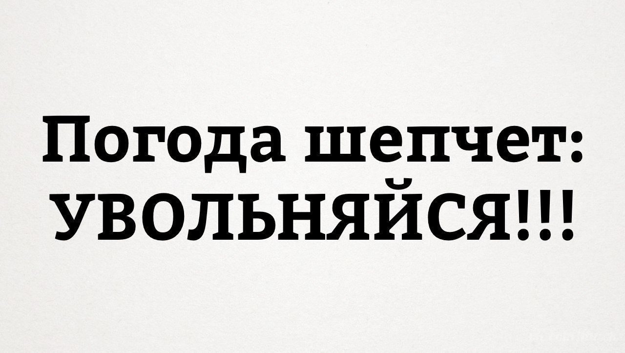 Погода так и шепчет займи и выпей картинки