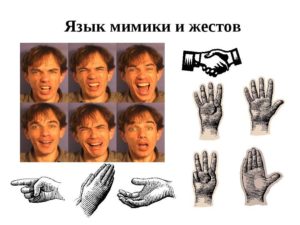 Жесты мимика картинки