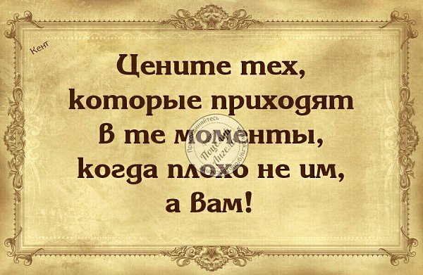 Тебя ценят только тогда когда в тебе нуждаются такова жизнь картинки