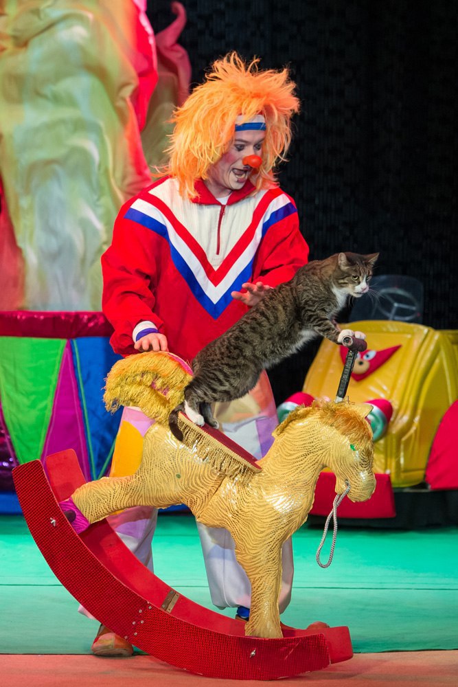 Куклачев театр кошек фото