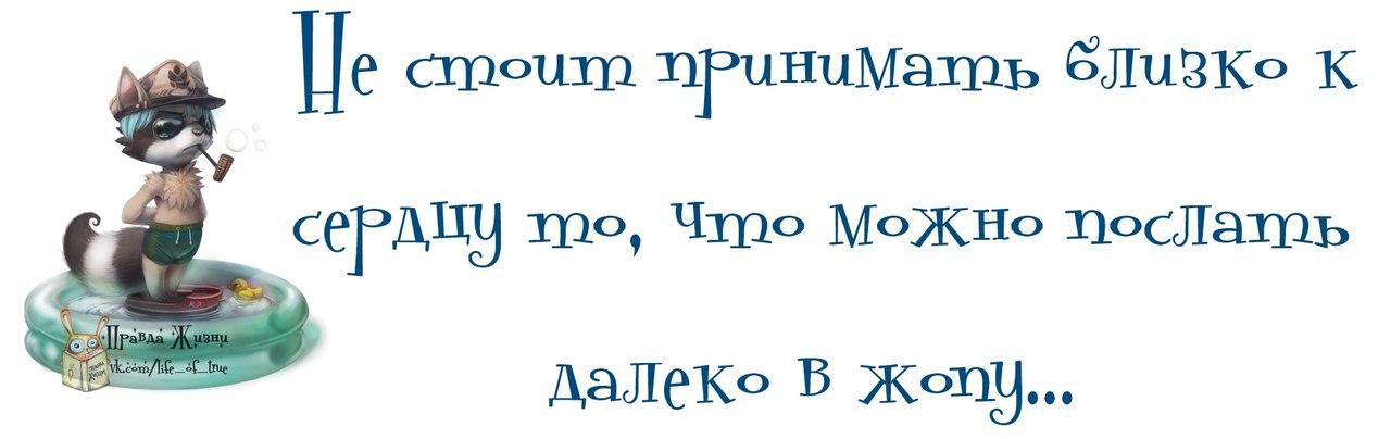 Стоит принимать. Не стоит принимать близко к сердцу. Не стоит принимать близко к сердцу то что можно послать. Научиться не париться. Не стоит принимать.