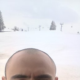 , 29 , 